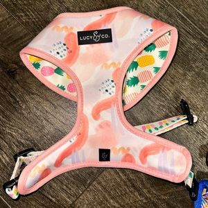 Lucy & Co reversible harness